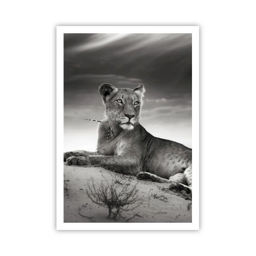 Poster - Die Königin der Wüstenruhe - 70x100 cm