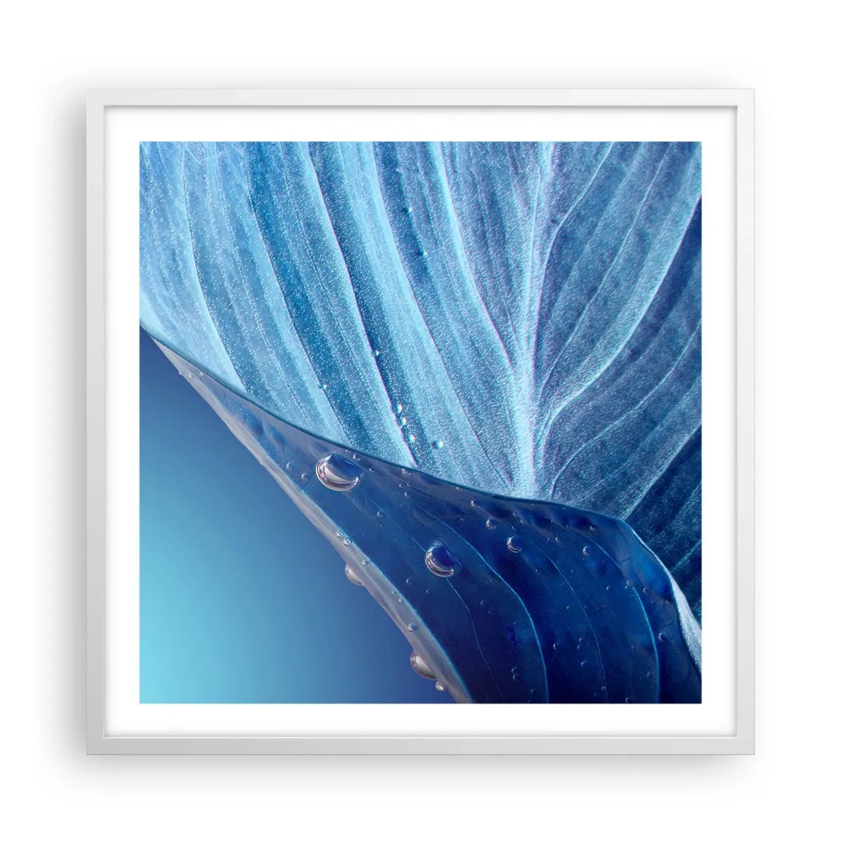 Poster in einem weißen Rahmen - Versteckte Tropfen vom Blau - 60x60 cm