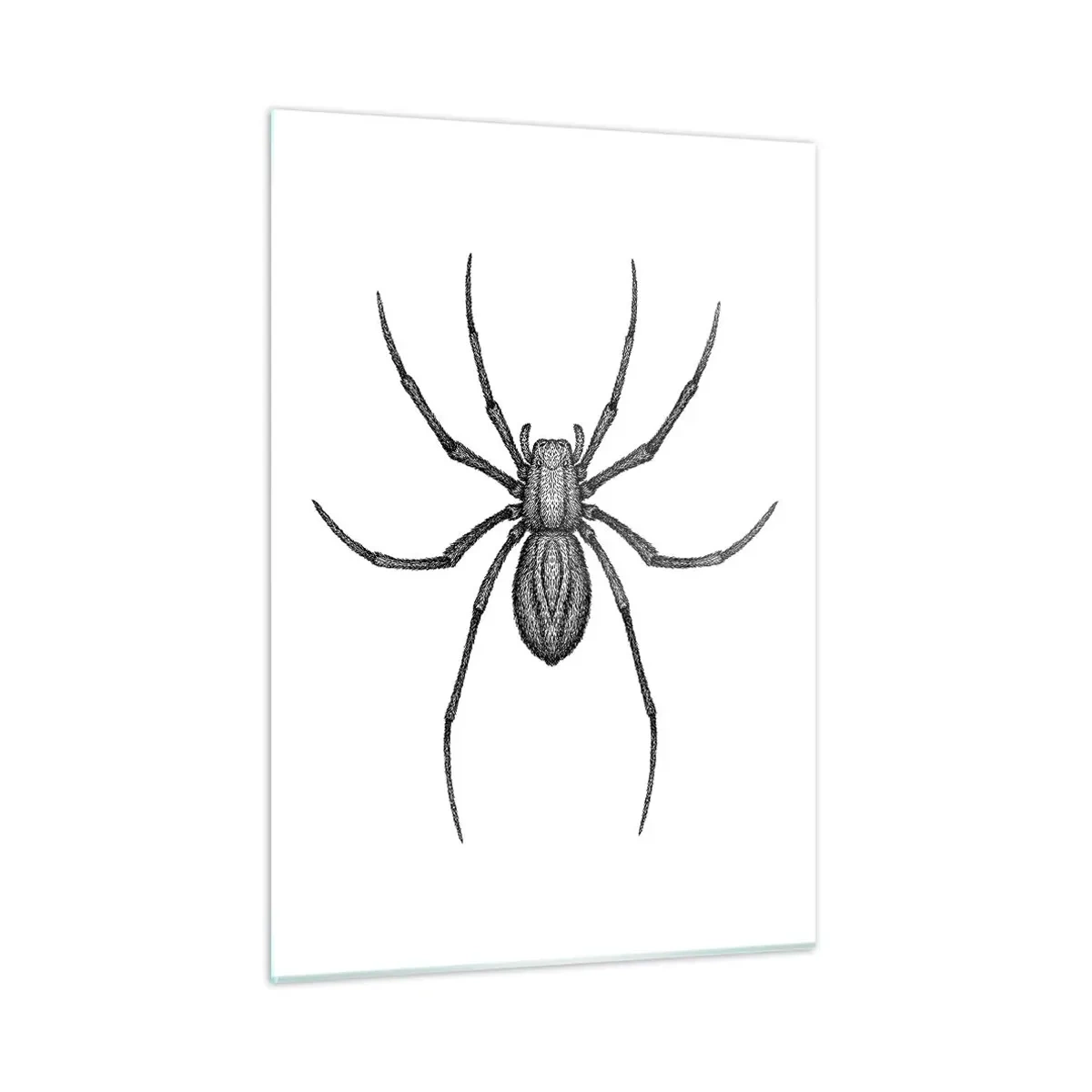 Glasbild - Bild auf glas - Retro-Stil Illustration einer schwarzen Spinne auf weißem Hintergrund - 50x70cm - Beunruhigende Präzision - Moderne Wanddekoration für Wohnzimmer und Schlafzimmer ARTTOR