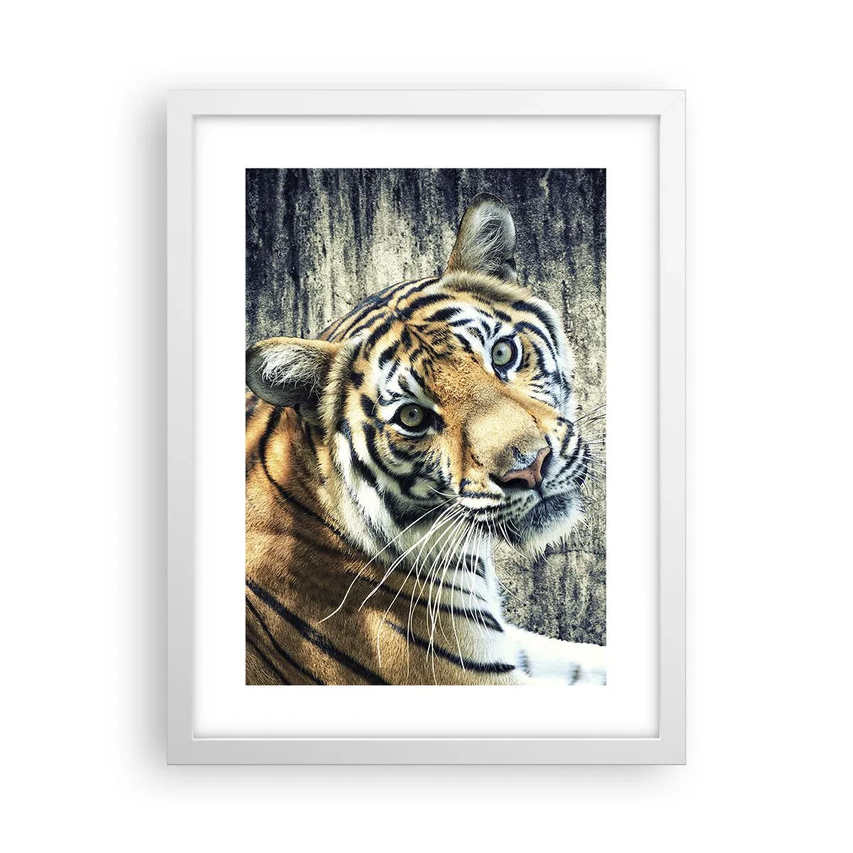 Poster in einem weißen Rahmen - Portrait in Lichtstrahlen - 30x40 cm