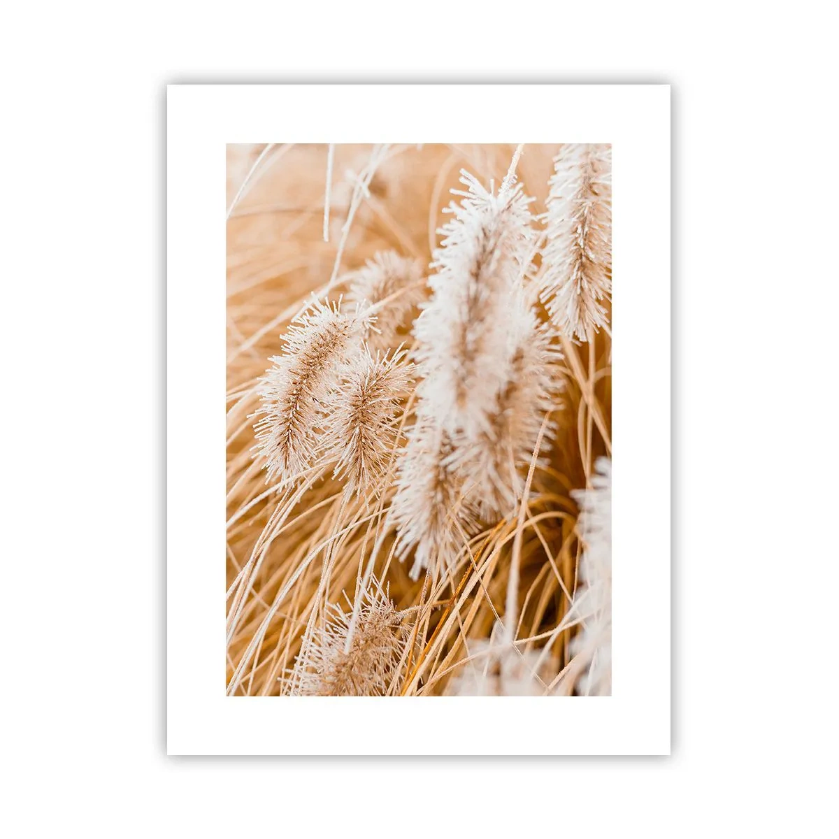 Poster - Das goldene Rauschen des Grases - 30x40 cm
