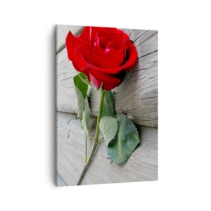 Bild auf Leinwand - Leinwandbild - Rote Rose auf einem hölzernen Hintergrund - 50x70cm - Eine Studie in Scharlachrot - Moderne Wanddekoration für Wohnzimmer und Schlafzimmer ARTTOR