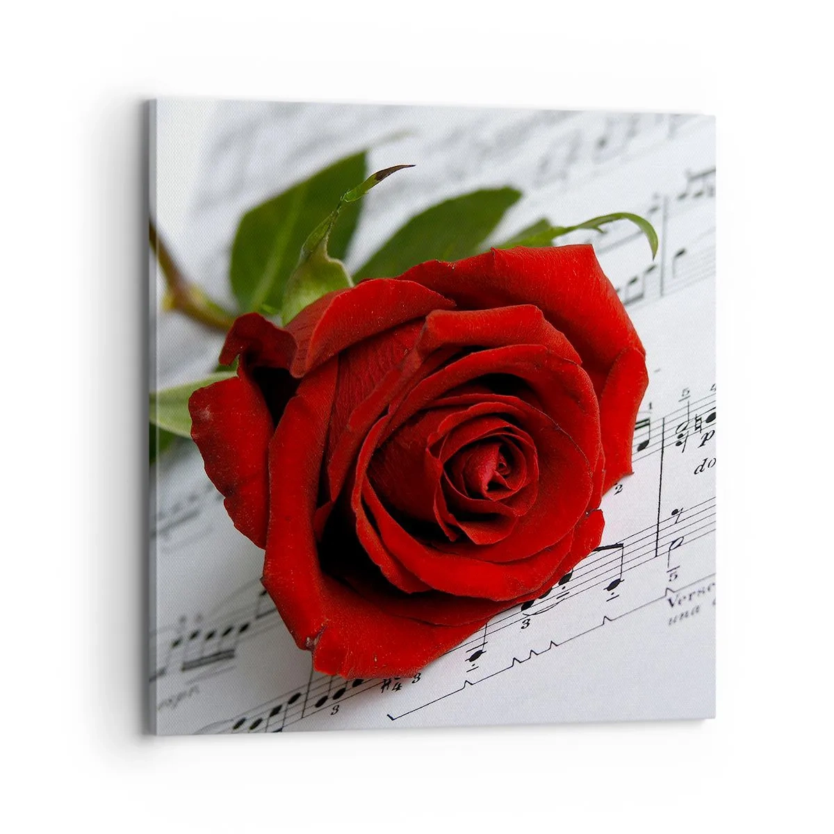 Bild auf Leinwand - Leinwandbild - Musik der Gefühle in Scharlach - 70x70 cm