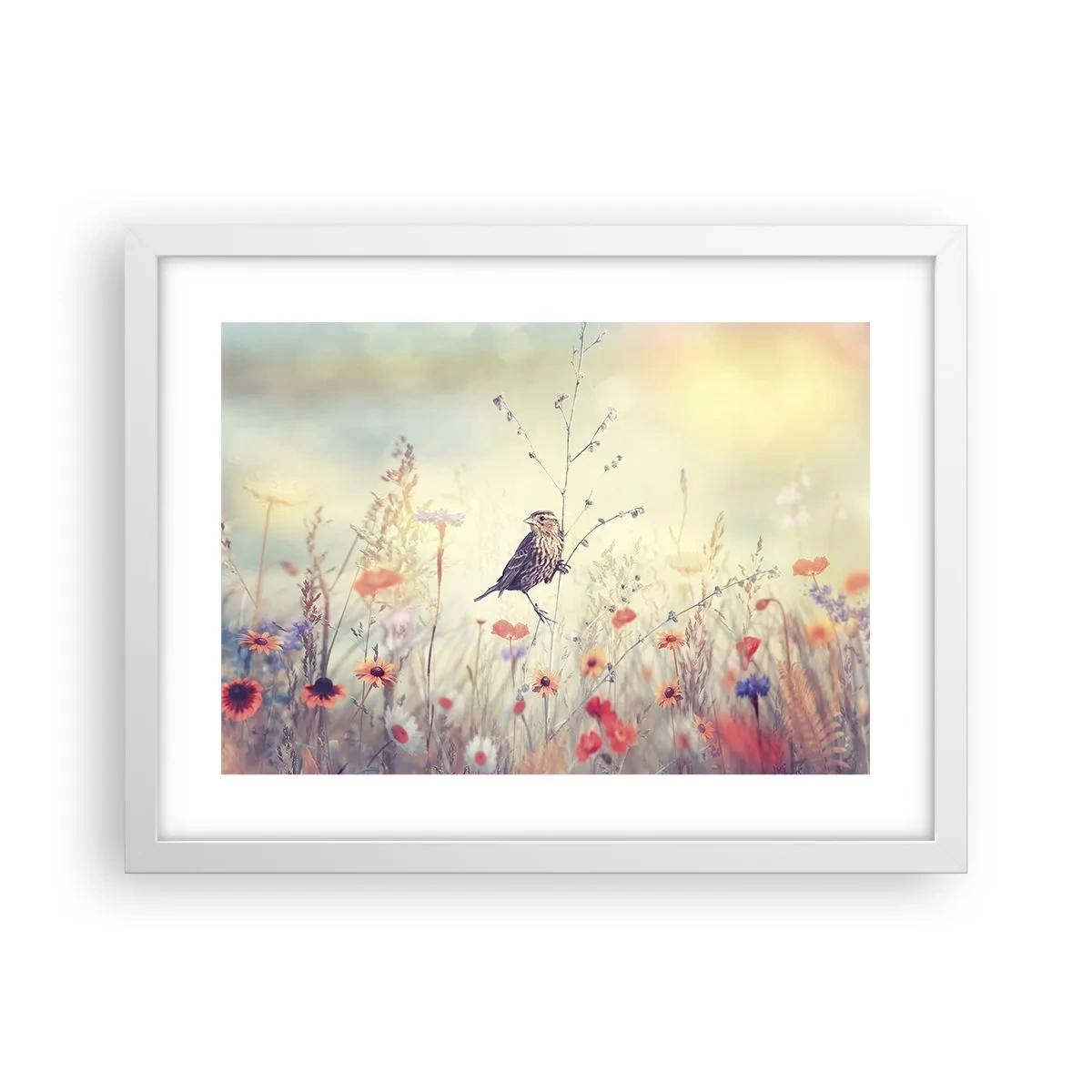 Poster in einem weißen Rahmen - Vogelporträt mit einer Wiese im Hintergrund - 40x30 cm