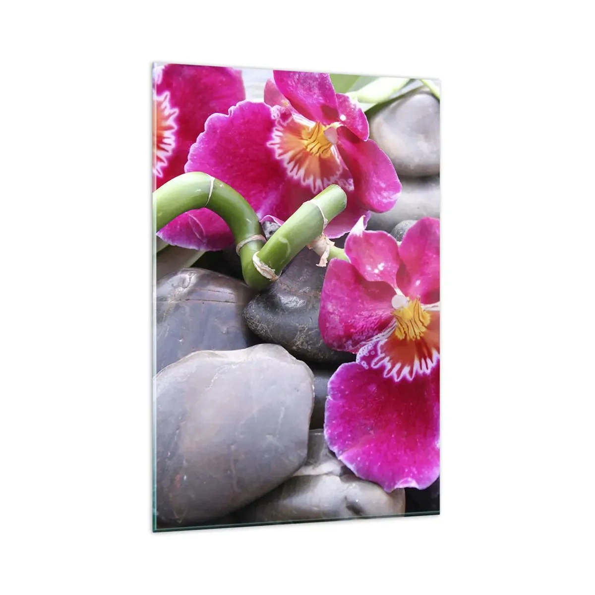 Glasbild - Bild auf glas - Rosa Orchideen vor einem Hintergrund aus glatten Steinen - 80x120cm - Kühlen und erhitzen - Moderne Wanddekoration für Wohnzimmer und Schlafzimmer ARTTOR