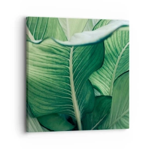 Bild auf Leinwand - Leinwandbild - Intensiv grünes Leben - 30x30 cm