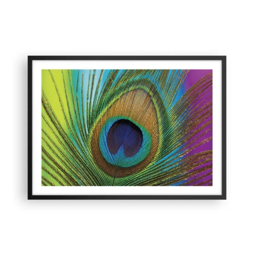 Poster in einem schwarzem Rahmen - Nahaufnahme einer Pfauenfeder mit lebendigen Farben - 70x50cm - Auge in Auge - Moderne Wanddekoration für Wohnzimmer und Schlafzimmer ARTTOR