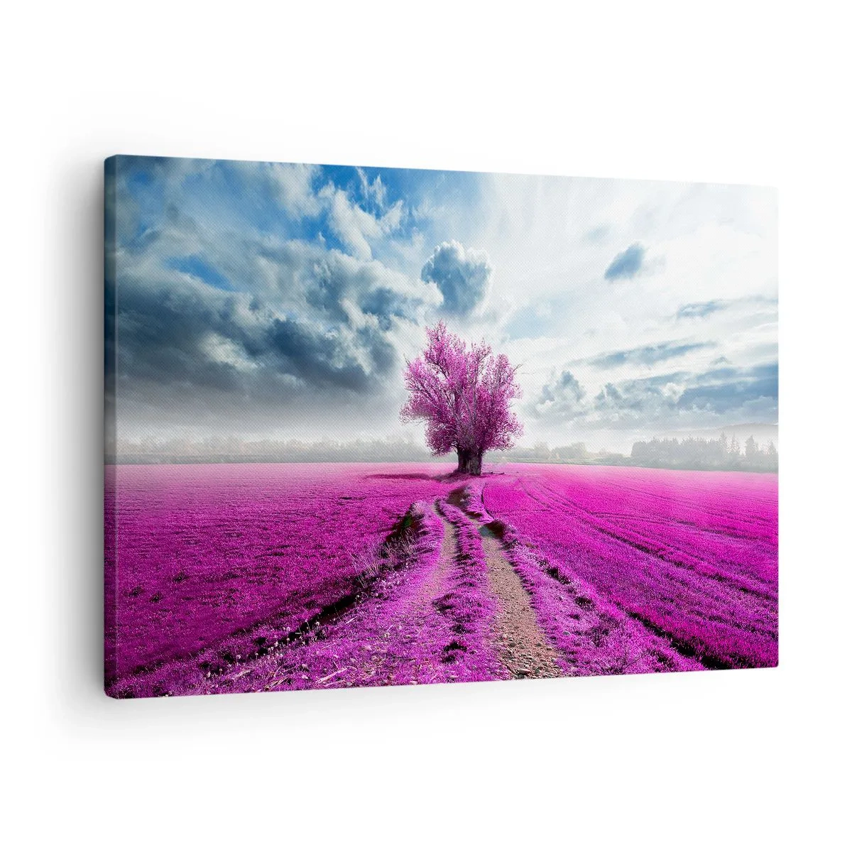 Bild auf Leinwand - Leinwandbild - Ein einsamer Baum auf einem Feld in einem intensiven Rosaton - 70x50cm - Heide - Wildnis - Moderne Wanddekoration für Wohnzimmer und Schlafzimmer ARTTOR