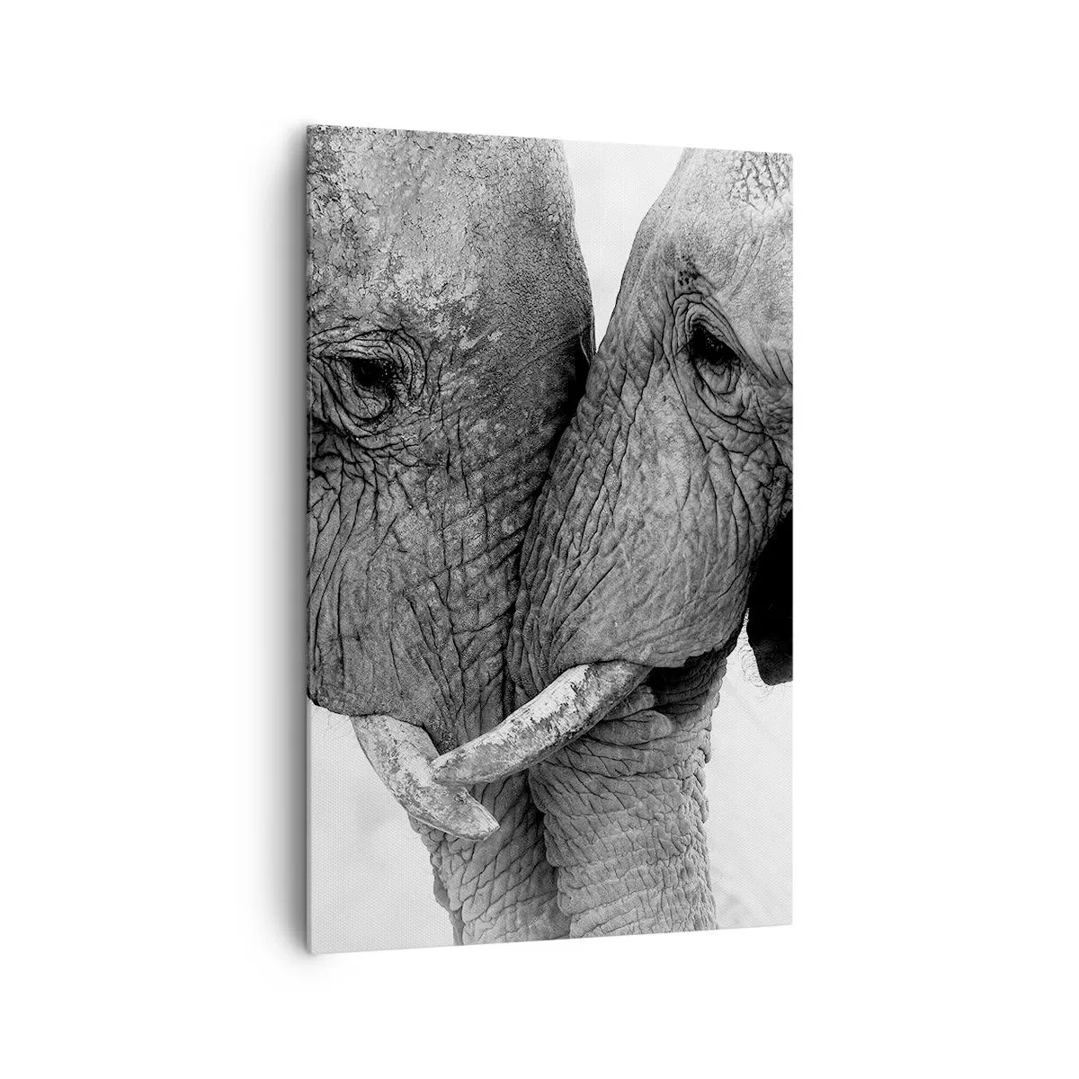 Bild auf Leinwand - Leinwandbild - Zwei Elefanten in zärtlicher Geste vor monochromem Hintergrund - 80x120cm - Herzliches Geständnis - Moderne Wanddekoration für Wohnzimmer und Schlafzimmer ARTTOR