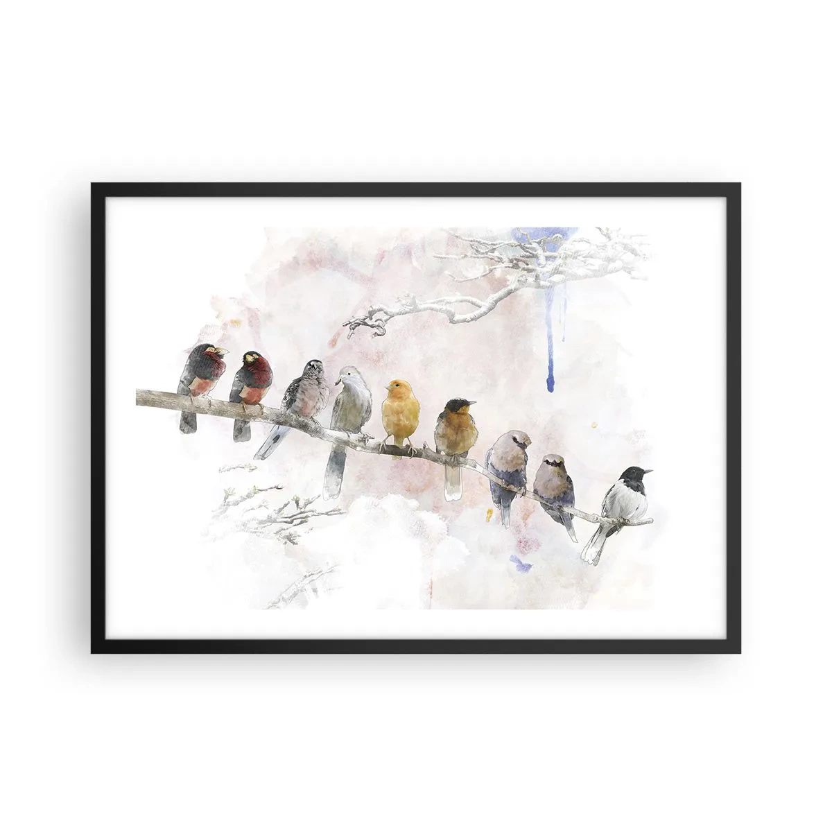 Poster in einem schwarzem Rahmen - Bunte Vögel auf einem Ast im Aquarellstil - 70x50cm - Geflügeltes Treffen - Moderne Wanddekoration für Wohnzimmer und Schlafzimmer ARTTOR