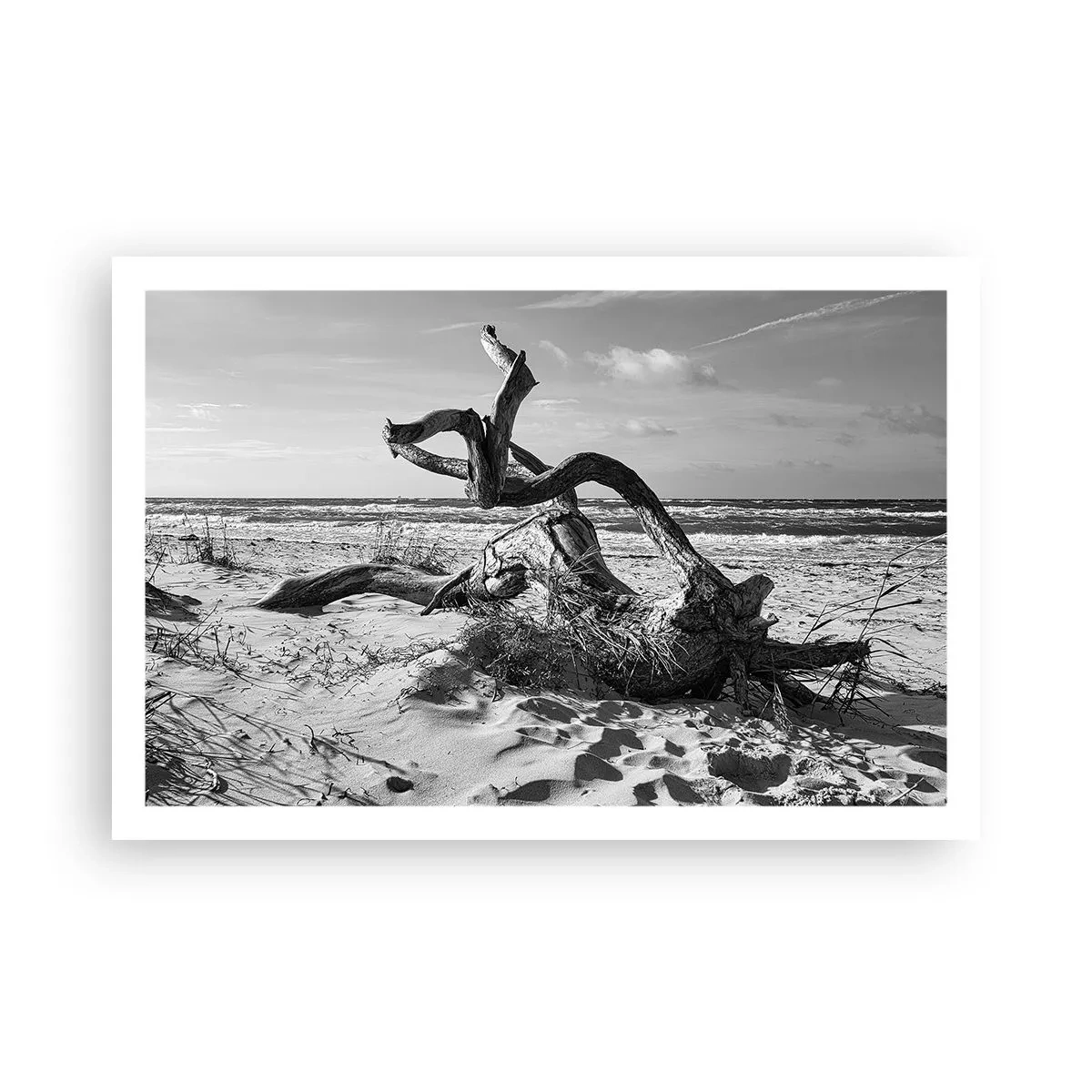 Poster - Meeresskulptur - 91x61 cm