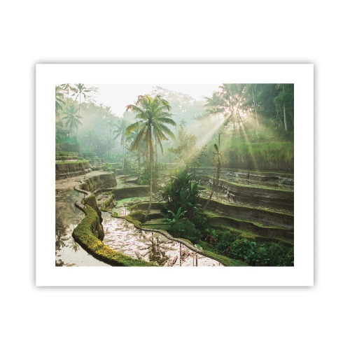 Poster - In der Sonne aufwachsen - 50x40 cm