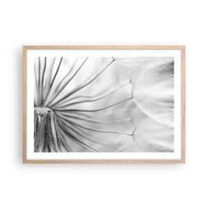 Poster in einem Rahmen aus heller Eiche - Löwenzahn, Drachen - 70x50 cm