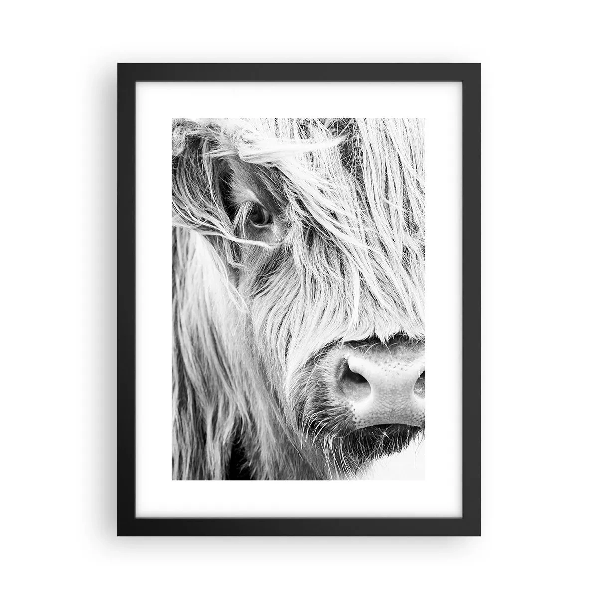 Poster in einem schwarzem Rahmen - Schottische Wildheit - 30x40 cm