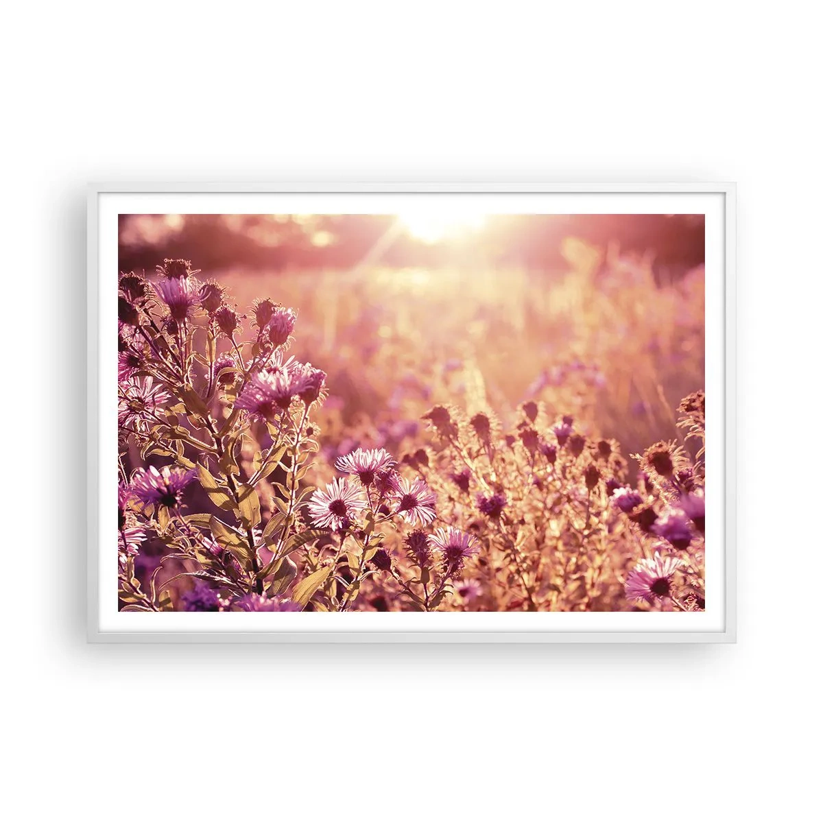 Poster in einem weißen Rahmen - Bevor der Sommer vorbei ist - 100x70 cm