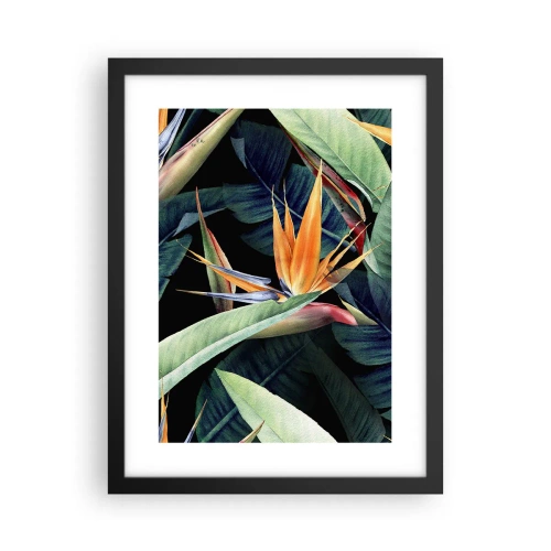 Poster in einem schwarzem Rahmen - Flammende Blumen der Tropen - 30x40 cm