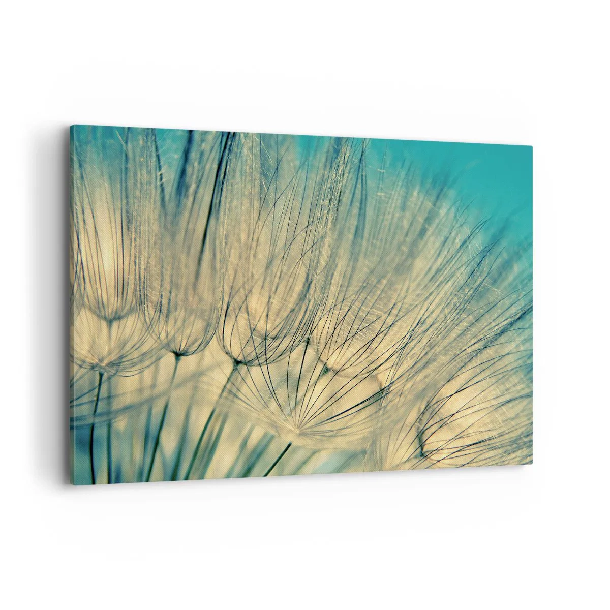 Bild auf Leinwand - Leinwandbild - Makrofotografie von Löwenzahn bei Tageslicht - 100x70cm - In Erwartung des Windes - Moderne Wanddekoration für Wohnzimmer und Schlafzimmer ARTTOR