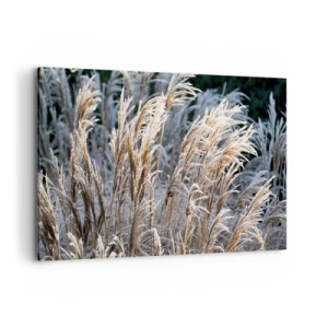 Bild auf Leinwand - Leinwandbild - Winterliche Grashalme mit Frost bedeckt vor einem dunkelgrünen Hintergrund - 120x80cm - Gekleidet mit Frost - Moderne Wanddekoration für Wohnzimmer und Schlafzimmer ARTTOR