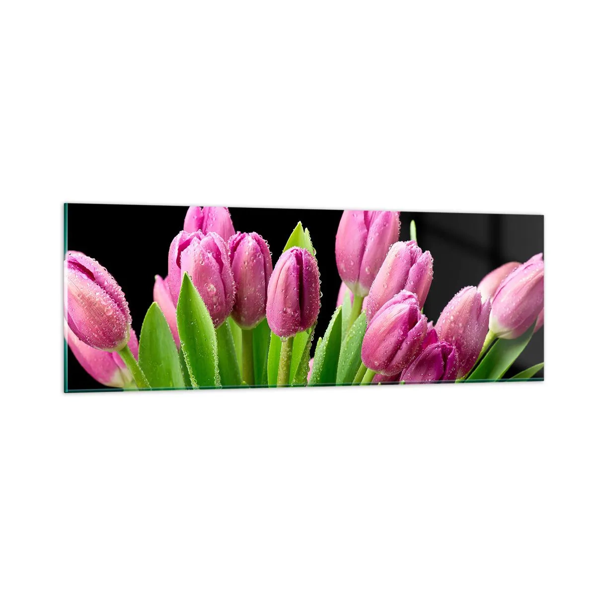 Glasbild - Bild auf glas - Lila Frühlingsfreude - 90x30 cm