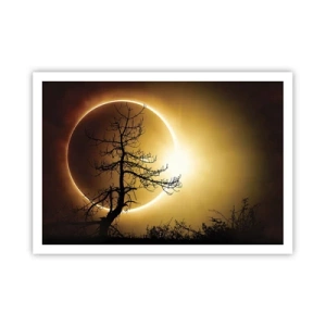 Poster - Sonnenfinsternis mit einer Baumsilhouette im Vordergrund - 100x70cm - Totale Finsternis - Moderne Wanddekoration für Wohnzimmer und Schlafzimmer ARTTOR