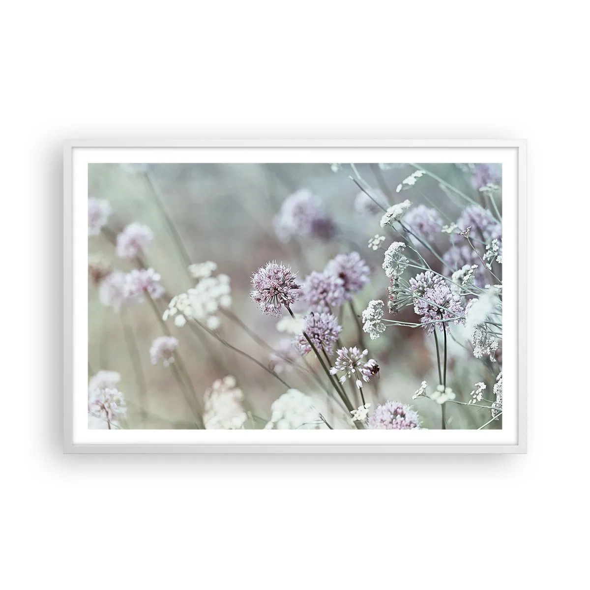 Poster in einem weißen Rahmen - Süße filigrane Kräuter - 91x61 cm