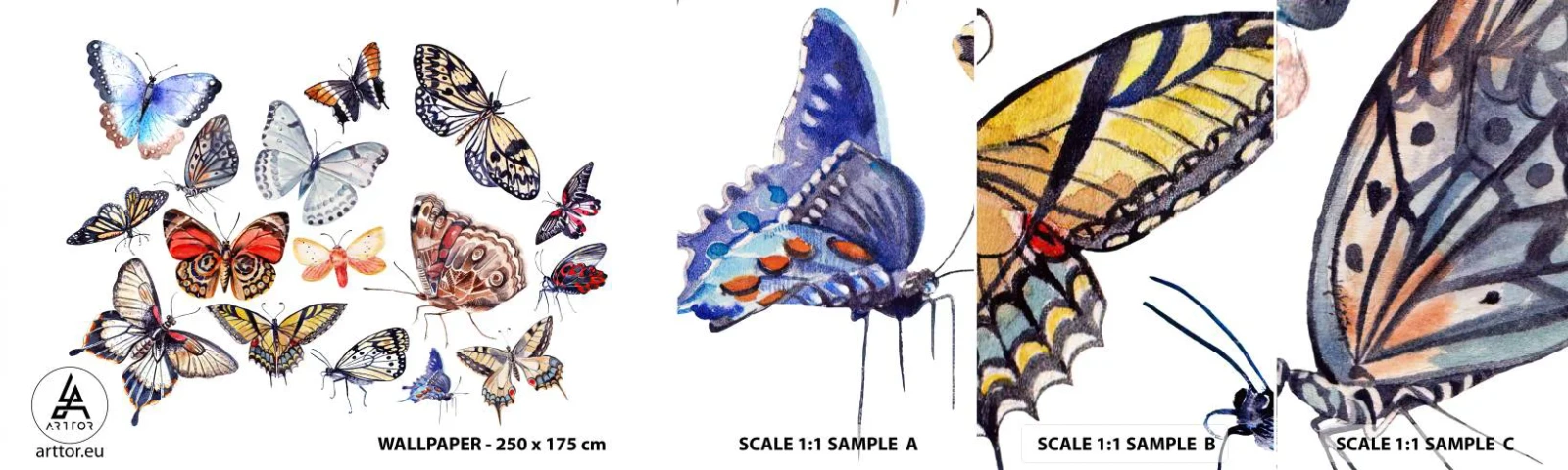 Fototapetenmuster Standard Eco - Spitzen, bunter Schwarm - Für Kinder, Bunte Schmetterlinge, Grafik - 100x30 cm