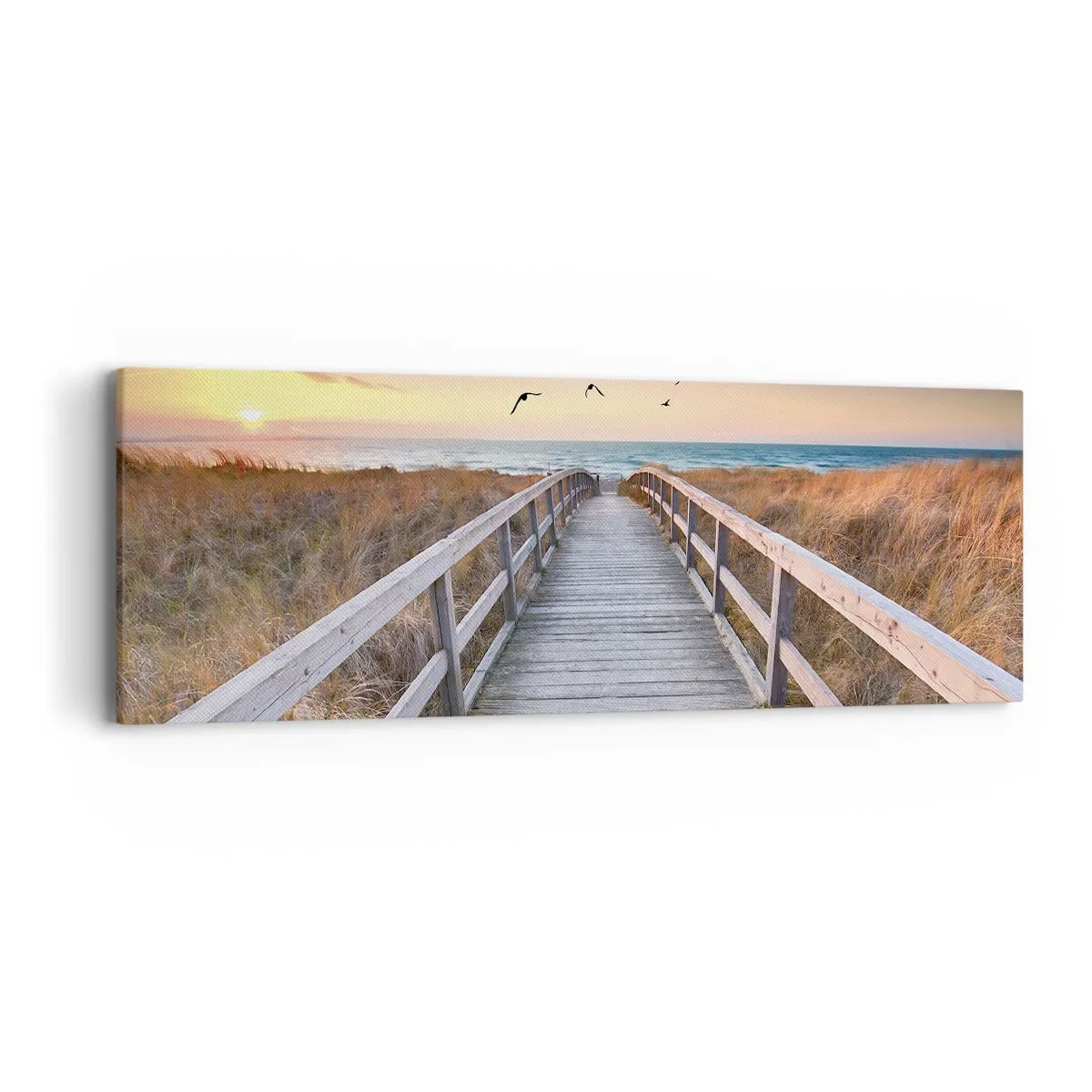 Bild auf Leinwand - Leinwandbild - Der Raum für Auffliegen - 90x30 cm