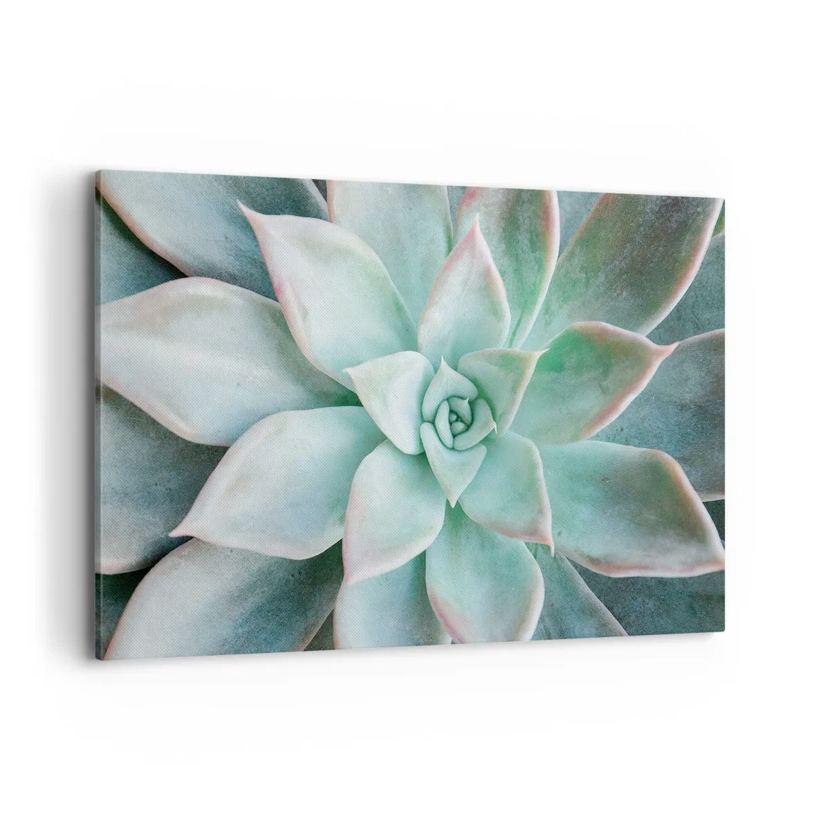 Bild auf Leinwand - Leinwandbild - Nahaufnahme einer grünen Sukkulente - 120x80cm - Das Herz der Wüste - Moderne Wanddekoration für Wohnzimmer und Schlafzimmer ARTTOR