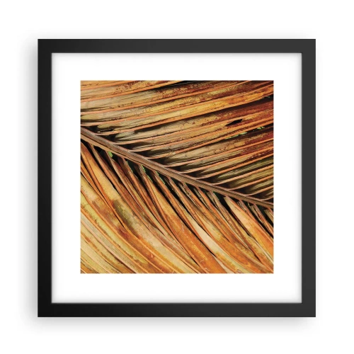 Poster in einem schwarzem Rahmen - Kokosnuss-Gold - 30x30 cm