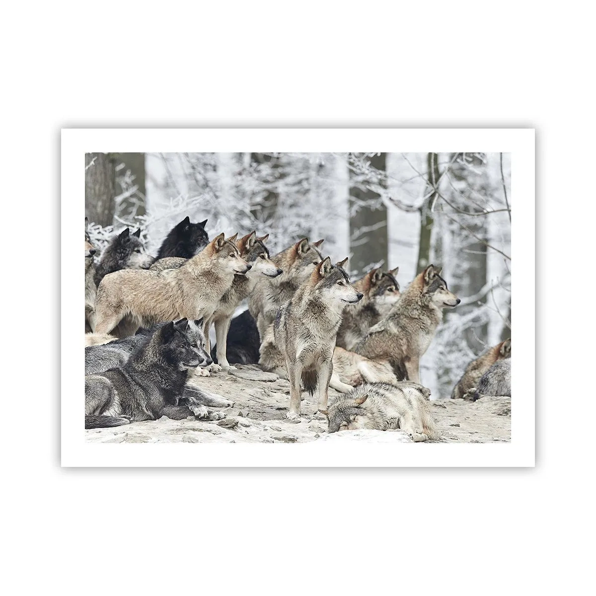 Poster - Familie und Freunde - 70x50 cm