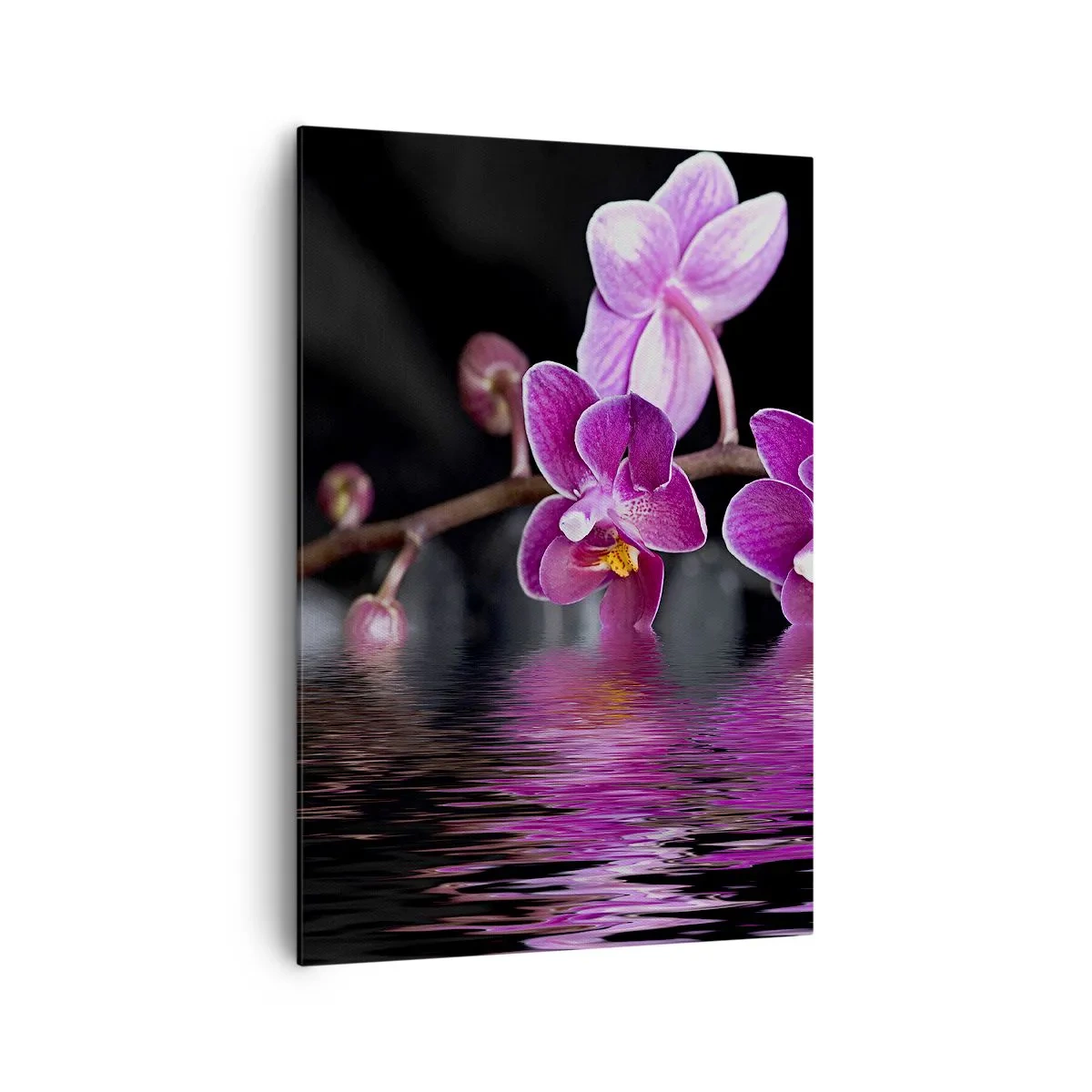 Bild auf Leinwand - Leinwandbild - Lila Orchideen über ruhigem Wasser vor schwarzem Hintergrund - 70x100cm - Lila Spiegelbild der Schönheit - Moderne Wanddekoration für Wohnzimmer und Schlafzimmer ARTTOR