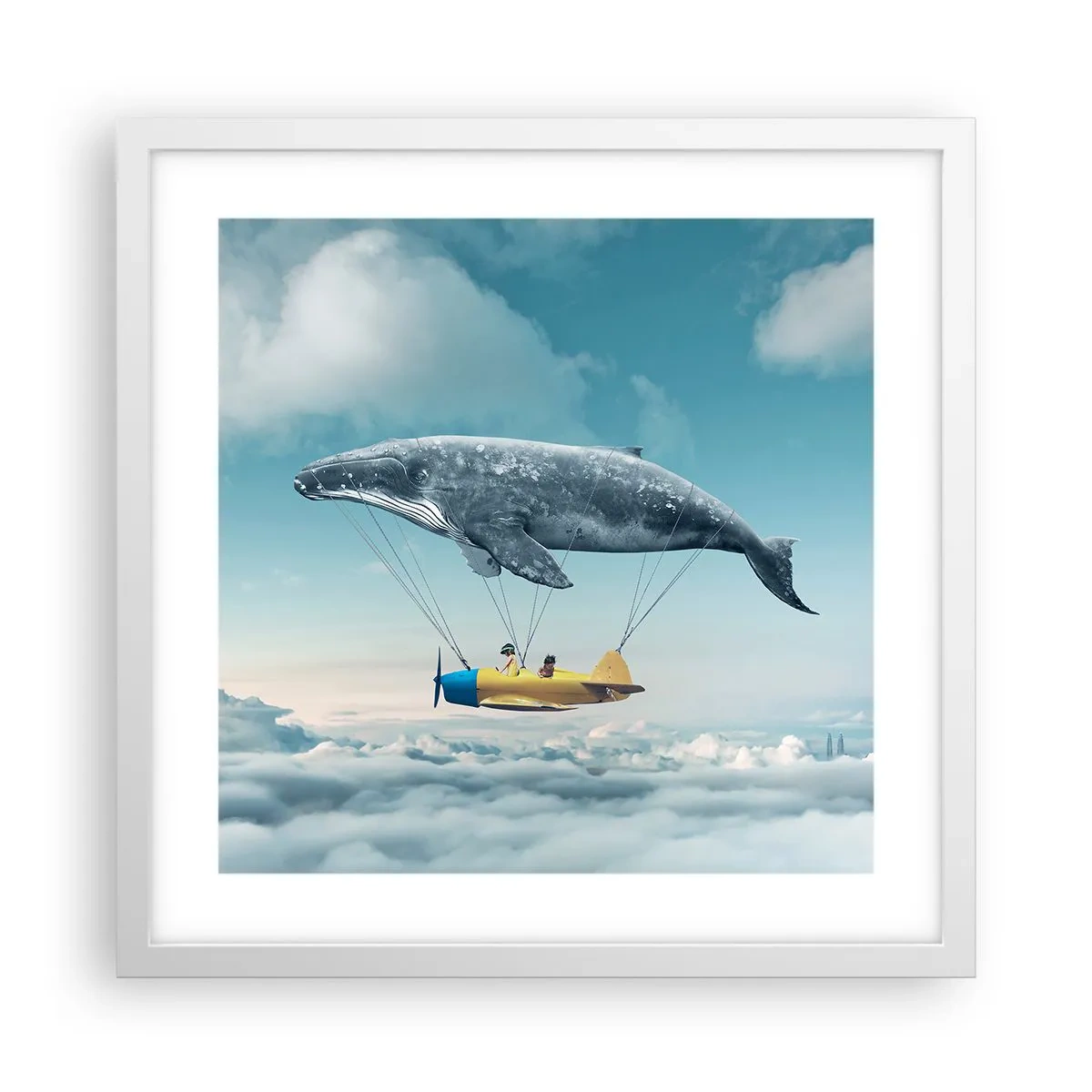 Poster in einem weißen Rahmen - Warum nicht? - 40x40 cm