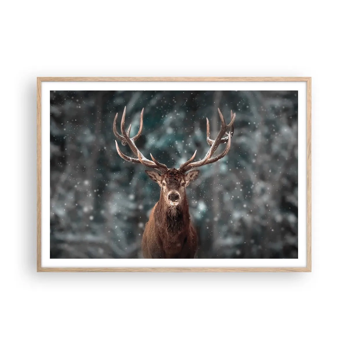 Poster in einem Rahmen aus heller Eiche - Gekrönter König des Waldes - 100x70 cm