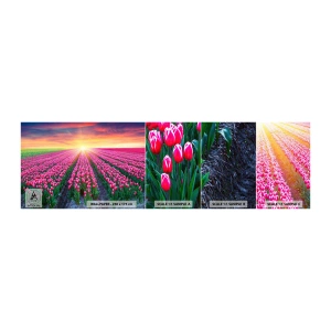 Fototapeten Muster Selbstklebend Deluxe Sticker - Schönheitsfarm - Blumen, Tulpen, Sonnenuntergang - 100x30 cm