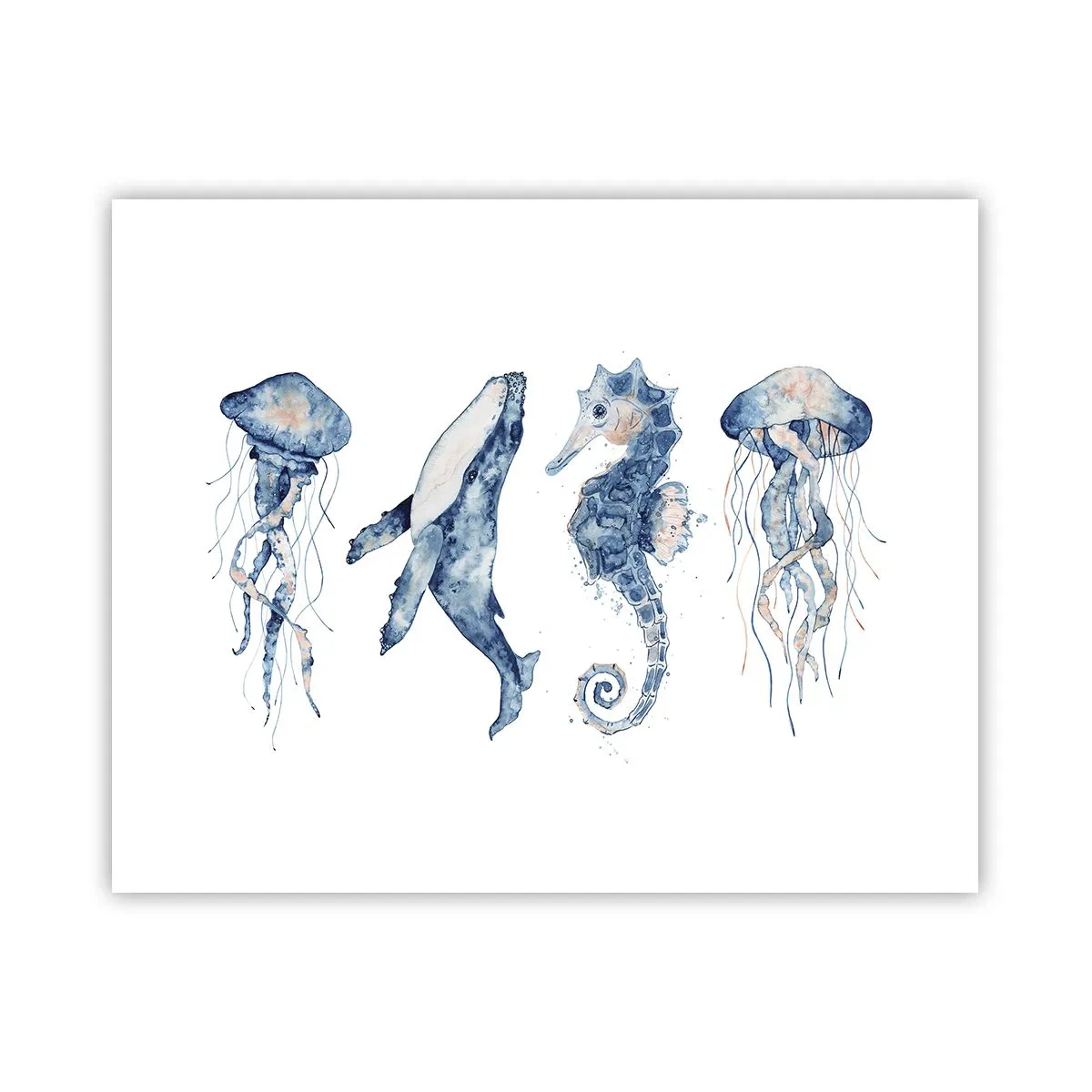 Poster - Meereswunder - 50x40 cm