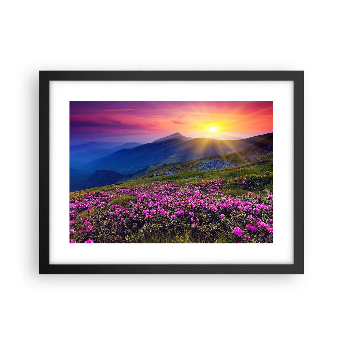 Poster in einem schwarzem Rahmen - … Und drumherum duftet es nach Latschenkiefer und dem Duft von Kräutern - 40x30 cm