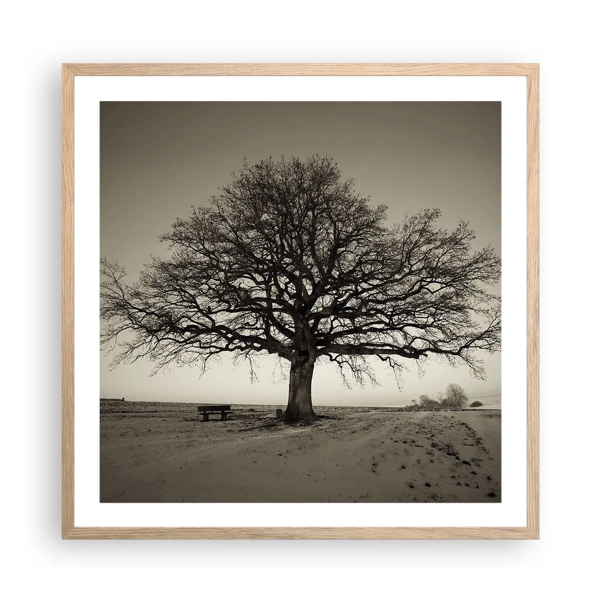 Poster in einem Rahmen aus heller Eiche - Von hier zu Ewigkeit - 60x60 cm