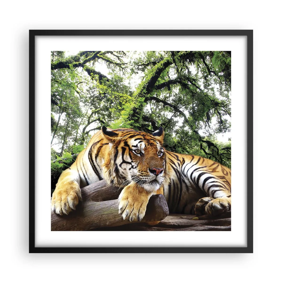 Poster in einem schwarzem Rahmen - Hochachtungsvoll - 50x50 cm