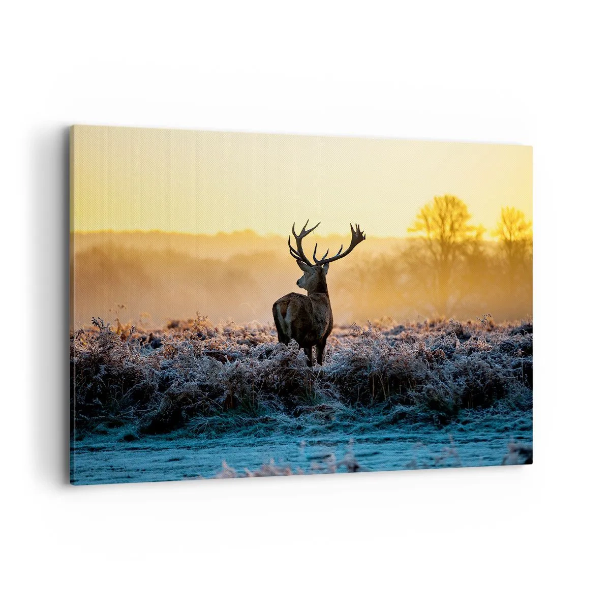 Bild auf Leinwand - Leinwandbild - Ein Reh auf einer frostigen Lichtung bei Sonnenaufgang - 100x70cm - Gekrönt auf seinem Besitz - Moderne Wanddekoration für Wohnzimmer und Schlafzimmer ARTTOR