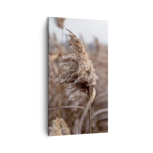 Bild auf Leinwand - Leinwandbild - Zeit, mit dem Wind zu gehen - 45x80 cm