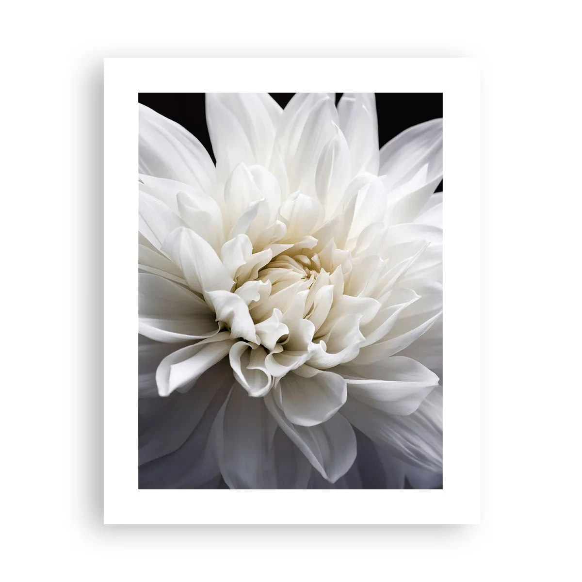 Poster - Der Morgen der Braut - 40x50 cm