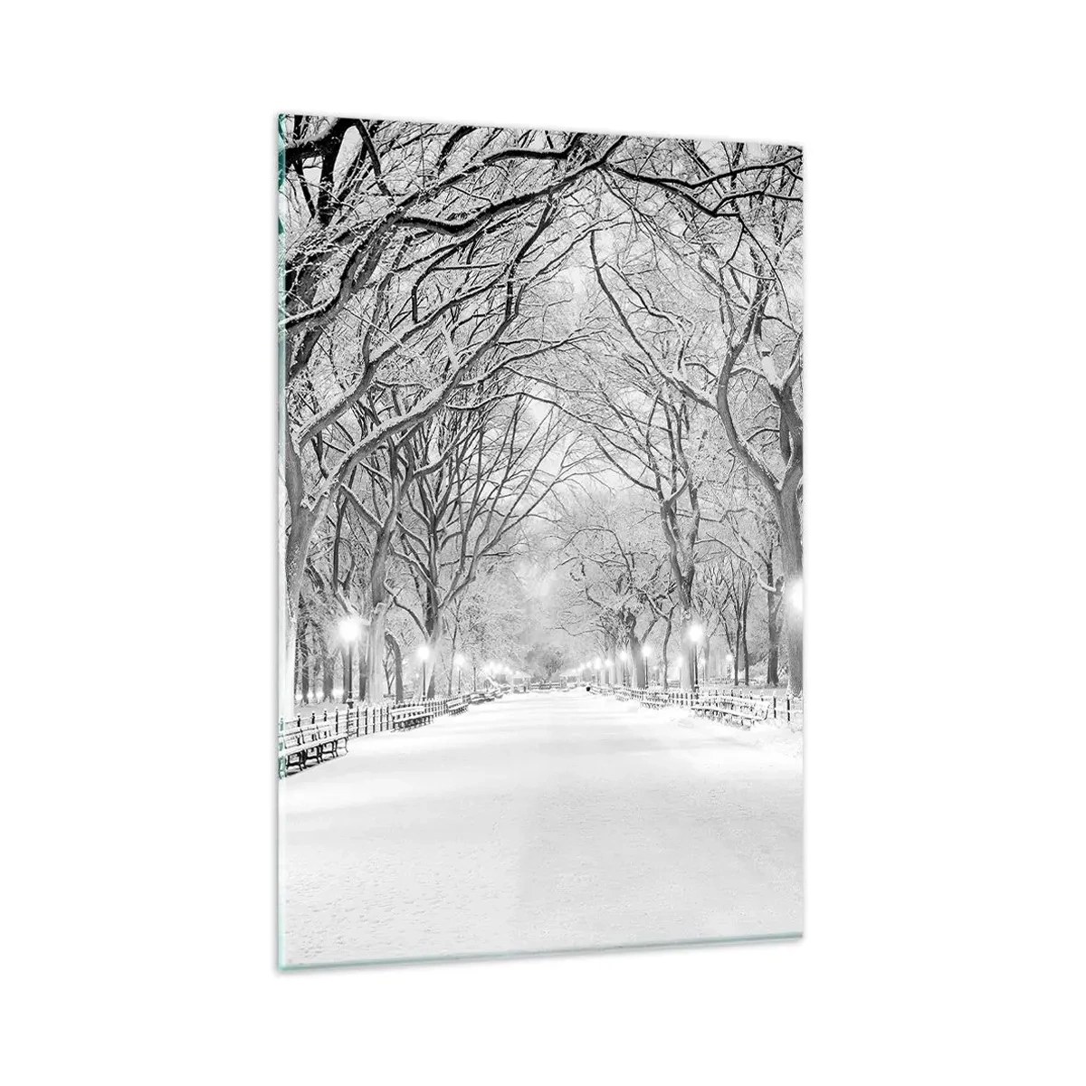 Glasbild - Bild auf glas - Eine Winterallee mit schneebedeckten Bäumen in Monochrom - 80x120cm - Vier Jahreszeiten - Winter - Moderne Wanddekoration für Wohnzimmer und Schlafzimmer ARTTOR