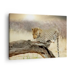 Bild auf Leinwand - Leinwandbild - Ein Leopard ruht auf einem Baumstamm in der Savanne - 70x50cm - Ich gehe meine eigenen Wege - Moderne Wanddekoration für Wohnzimmer und Schlafzimmer ARTTOR