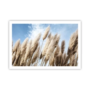 Poster - Sonnige und windige Liebkosungen - 91x61 cm