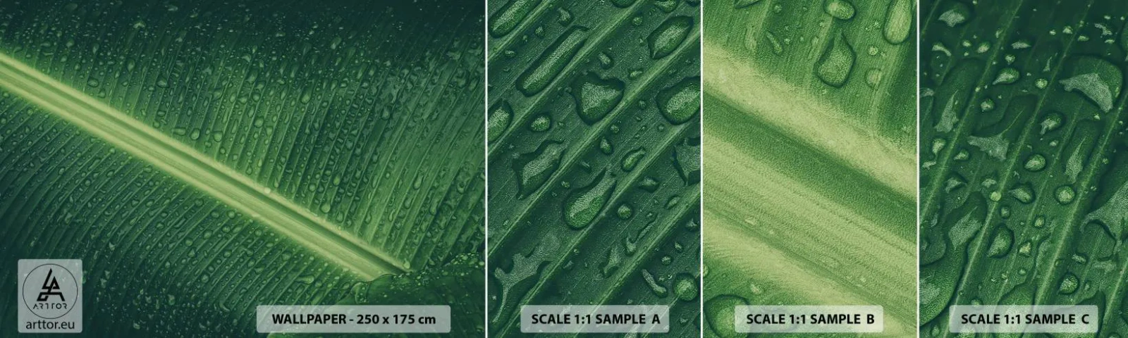Fototapetenmuster Standard Eco - Die Struktur des Grüns - Grünes Blatt, Tropische Pflanze, Stück - 100x30 cm