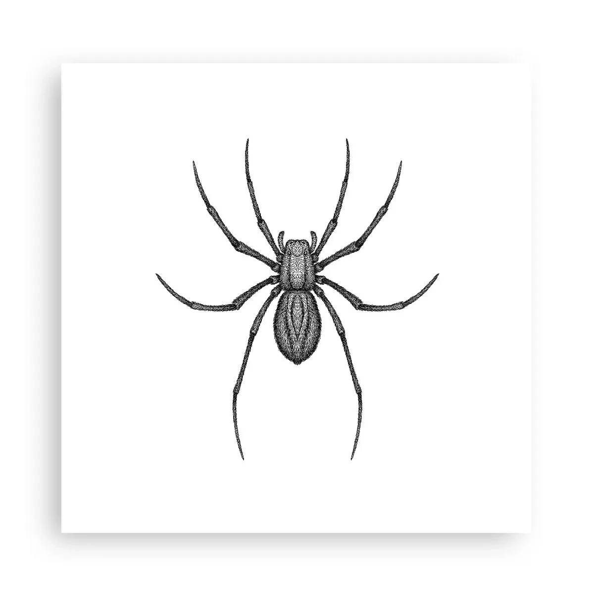 Poster - Beunruhigende Präzision - 30x30 cm