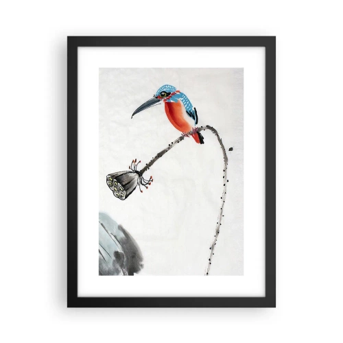 Poster in einem schwarzem Rahmen - Das Leben der Wiese - 30x40 cm