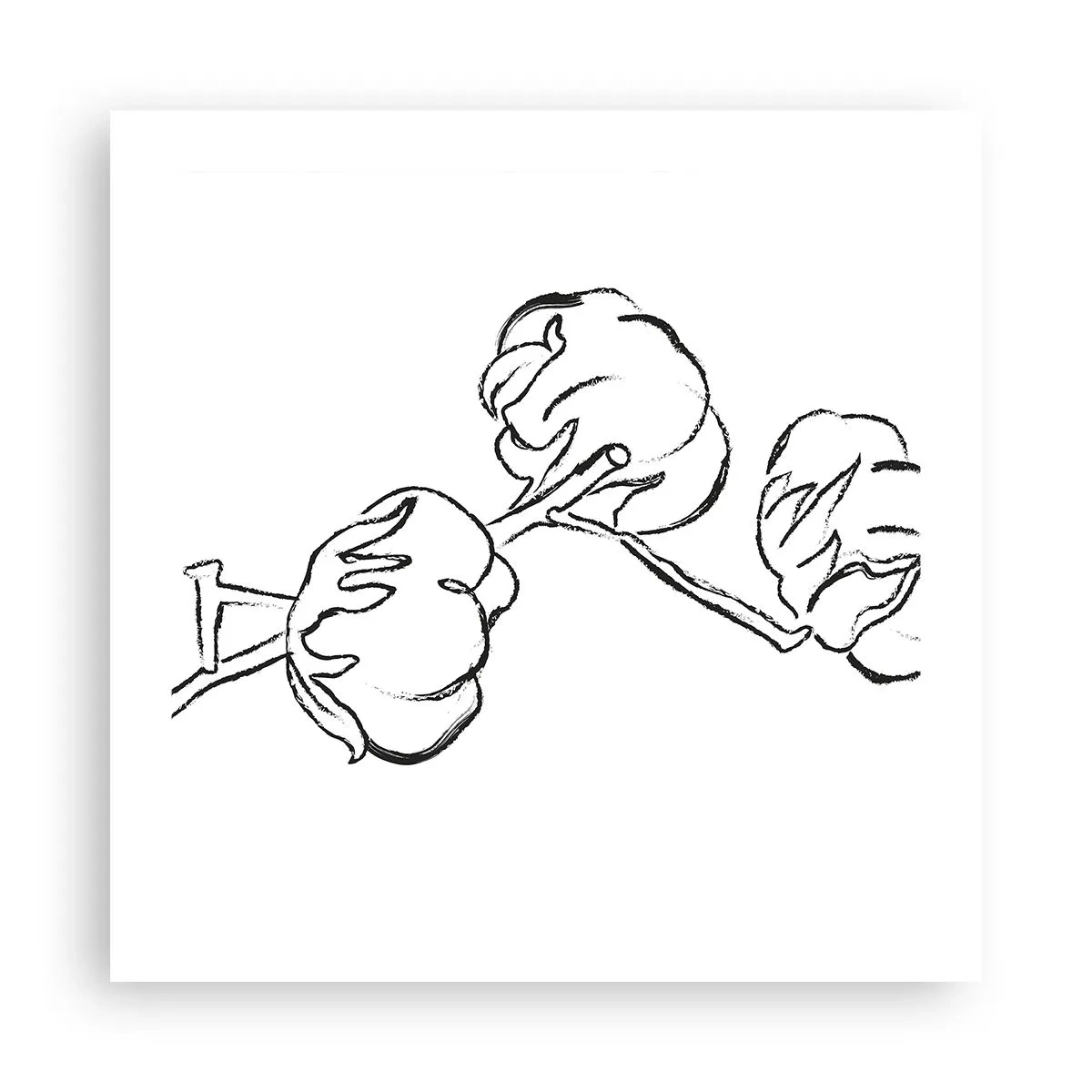 Poster - Baumwolldaunen - 50x50 cm