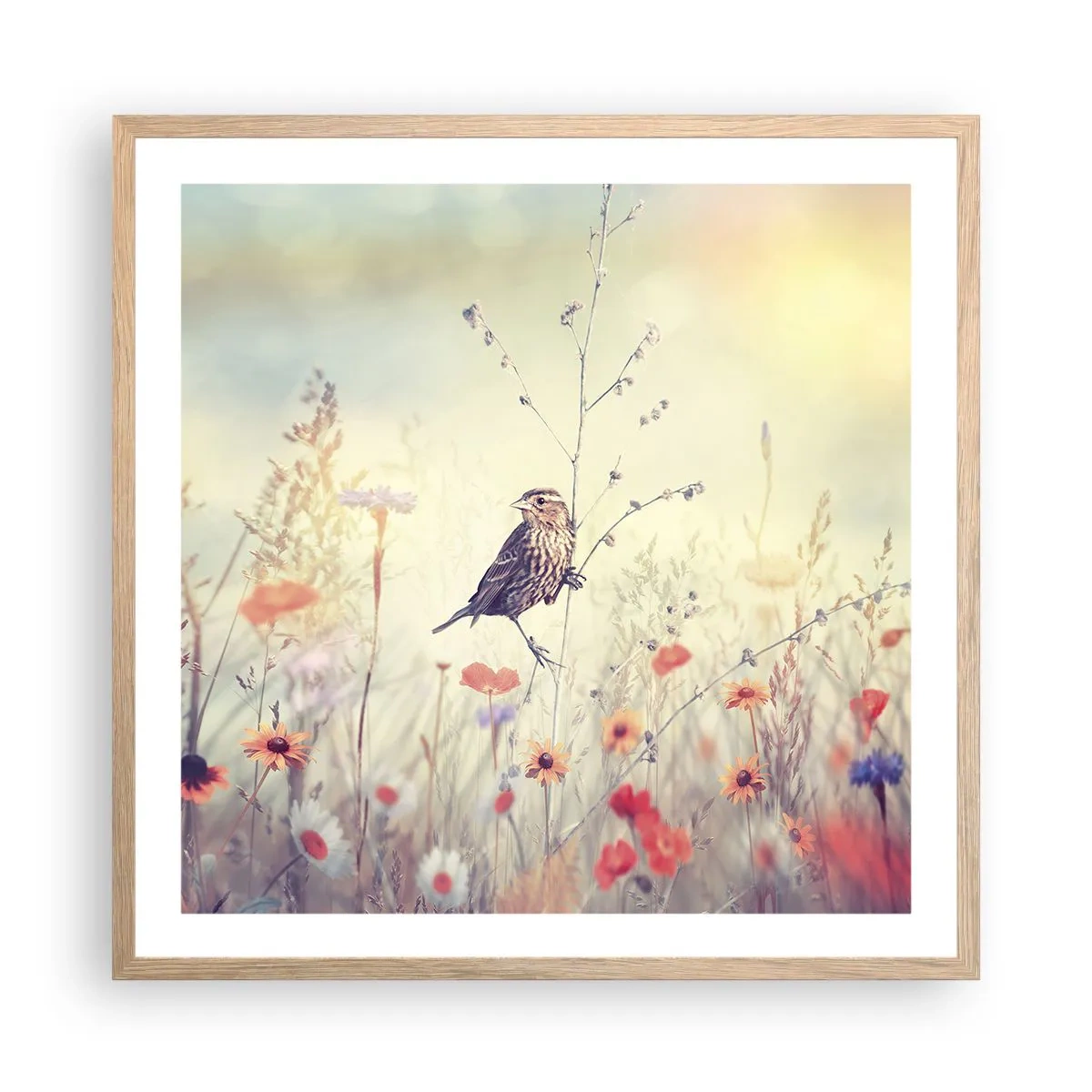 Poster in einem Rahmen aus heller Eiche - Vogelporträt mit einer Wiese im Hintergrund - 60x60 cm