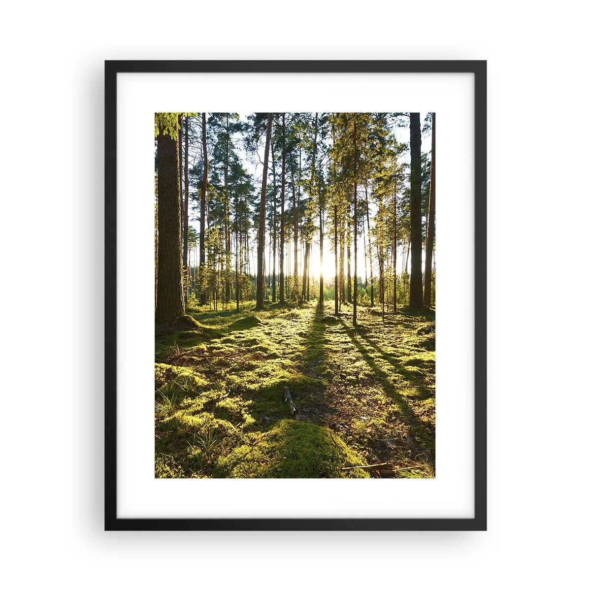 Poster in einem schwarzem Rahmen - … Hinter den sieben Wäldern - 40x50 cm